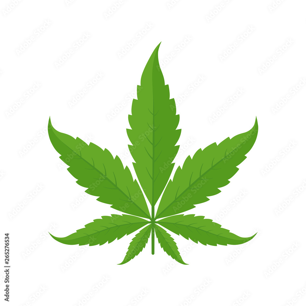 Marijuana leaf. Icon or logo. Green on a white background. Hemp plant. Cannabis indica. Isolated vector illustration.