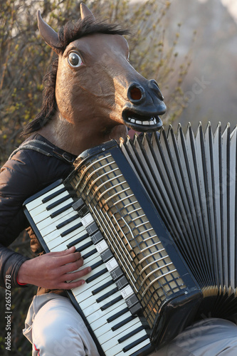 Photography Busker with Horse Mask and Accordion