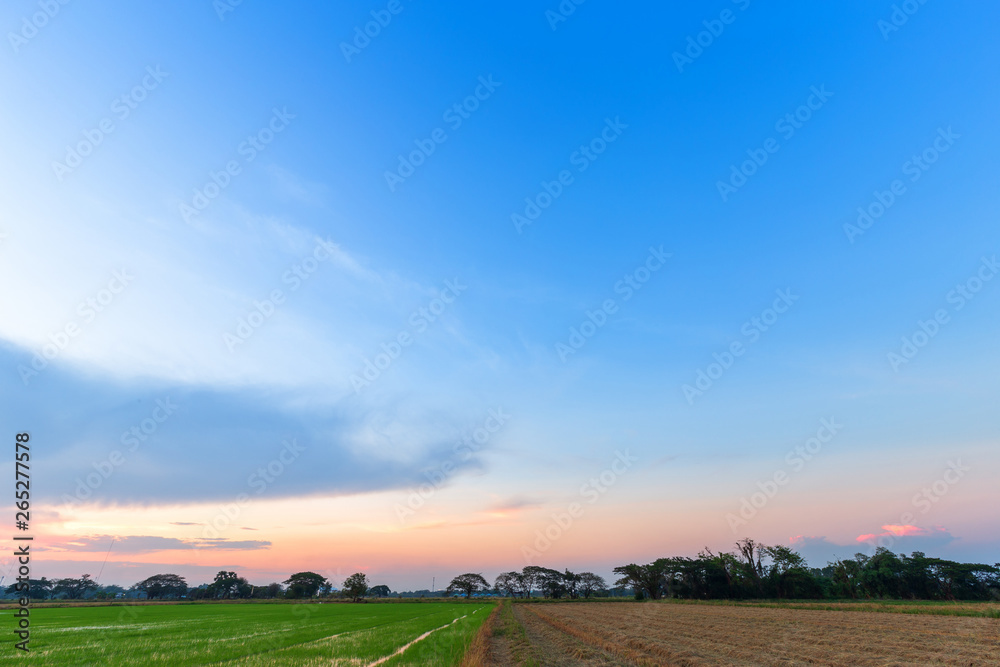 Obraz premium blue sky background texture with white clouds sunset.