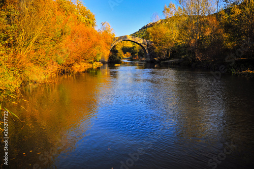 automnal, fleuve, eau, lac, paysage, nature, chute, forêt, arbre, ciel, arbre, parc, bleu, vert, feuille, étang, congé, ruisseau, montagne, beau, jaune, bois, feuillage, coloré