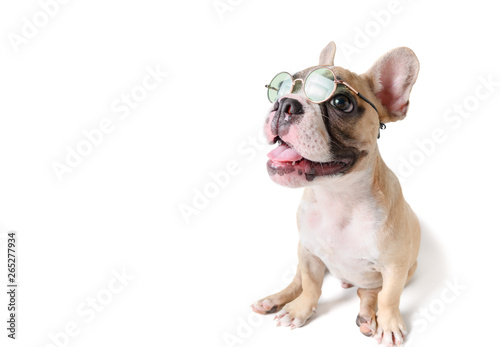 Cute french bulldog wear sunglass and smile