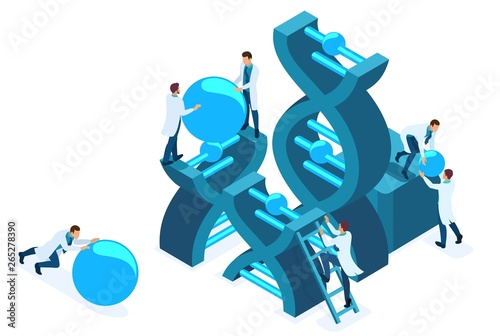 Isometric genetic engineering, DNA structure