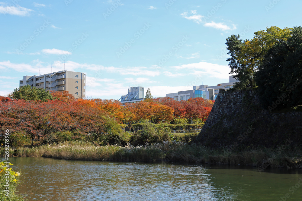 秋の名古屋城周辺風景
