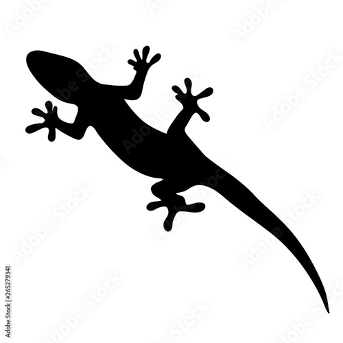 silhouette of gecko, lizard on white background. vector illustration