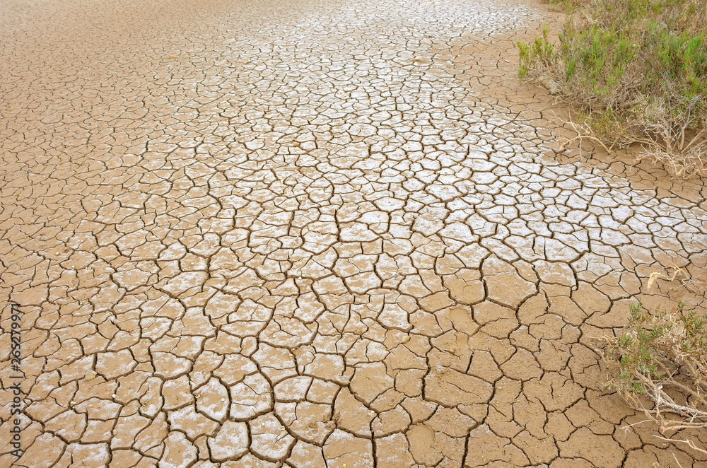 Mud Cracks in Salt Mediterranean Marsh Mud Cracks in Salt Mediterranean Marsh