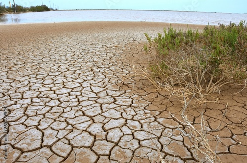 Mud Cracks in Salt Mediterranean Marsh 