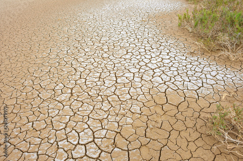 Mud Cracks in Salt Mediterranean Marsh 