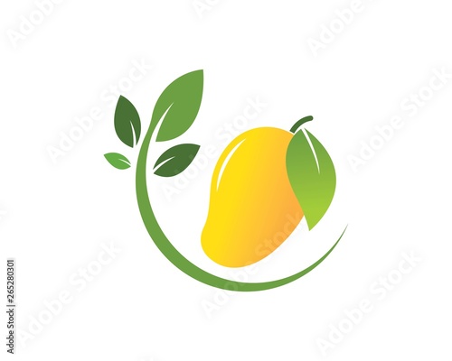  mango vector  illustration logo