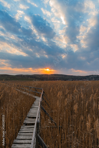 Swamp Sunset walkway and dried reed