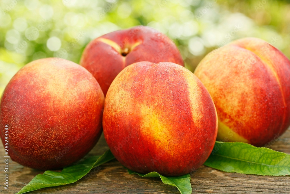Nectarines in natural background. Nectarines in natural background.
