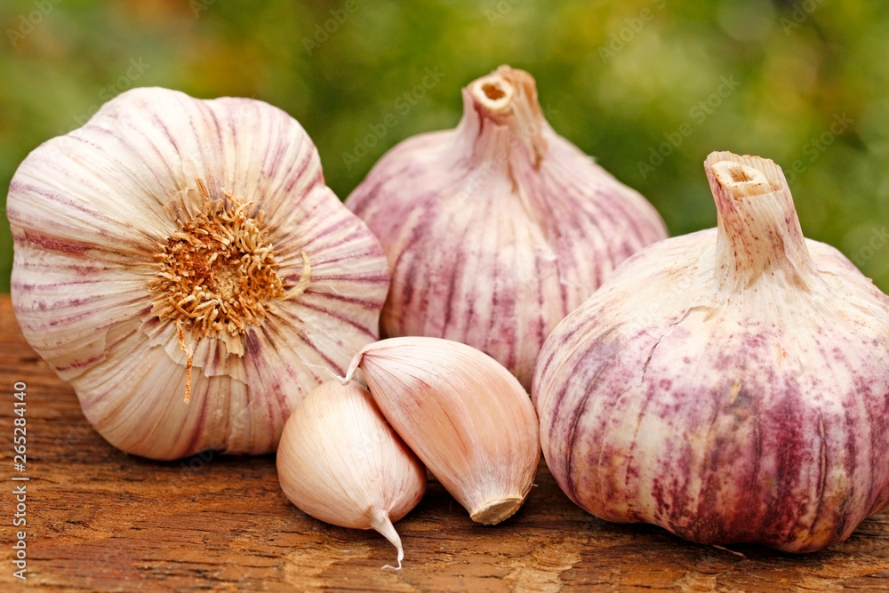 Fototapeta premium Garlic in natural background