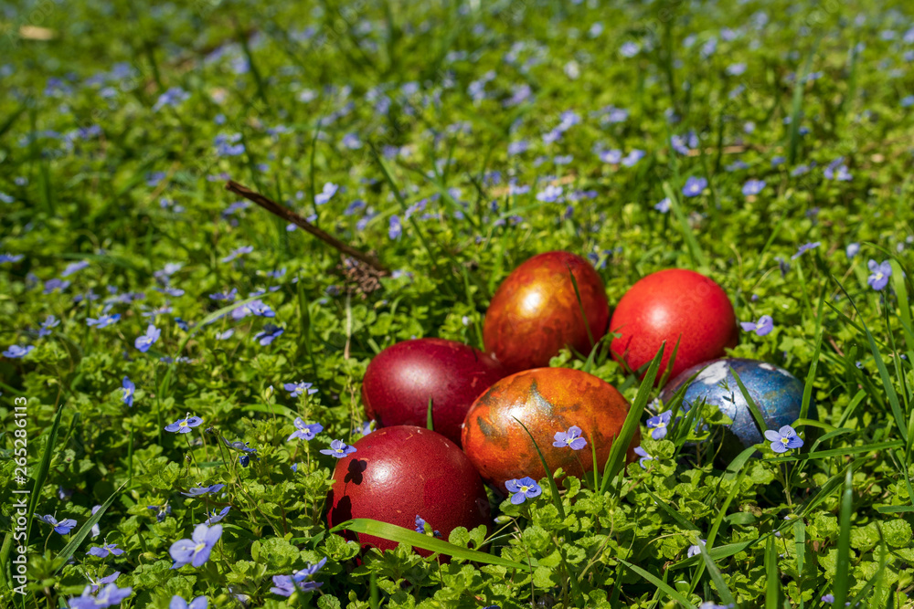 easter eggs in the garden easter eggs in the garden