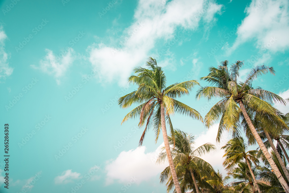 Summer nature scene. Tropical beach with sea, blue sky and palm trees, Kood island is located in the South East part of Thailand. Beautiful sea and white sand beach. 