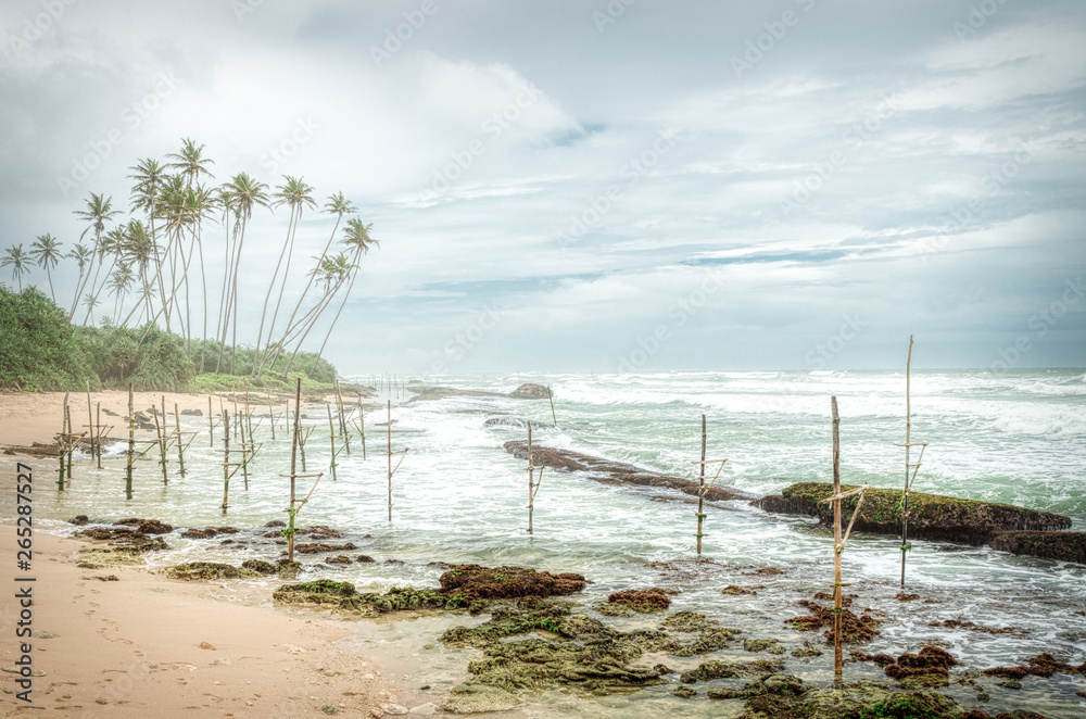 Sri Lanka stilts fishermen sticks in a windy day Sri Lanka stilts fishermen sticks in a windy day