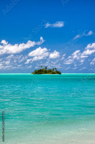 Vertical panoramic of small island with palm trees in the Indian Ocean © JavierBallesterLegua