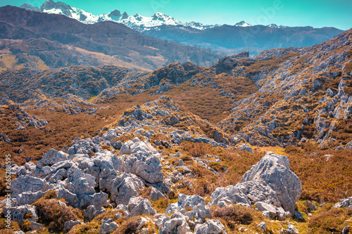 Mountain rocky landscape. Cantabrian Mountains, Picos de Europa national park, Spain, Europe