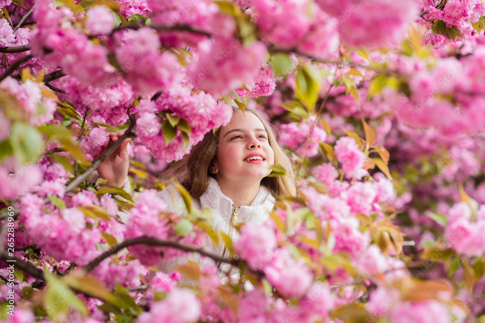 Lost in blossom. Botany concept. Girl tourist posing near sakura. Child on pink flowers of sakura tree background. Girl enjoying cherry blossom sakura. Cute child enjoy warm spring day. Tender bloom Lost in blossom. Botany concept. Girl tourist posing near sakura. Child on pink flowers of sakura tree background. Girl enjoying cherry blossom sakura. Cute child enjoy warm spring day. Tender bloom