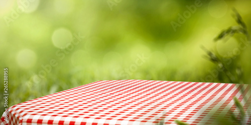 White and red tablecloth and free space for your decoration. Summer blurred background of grass and sun light. 