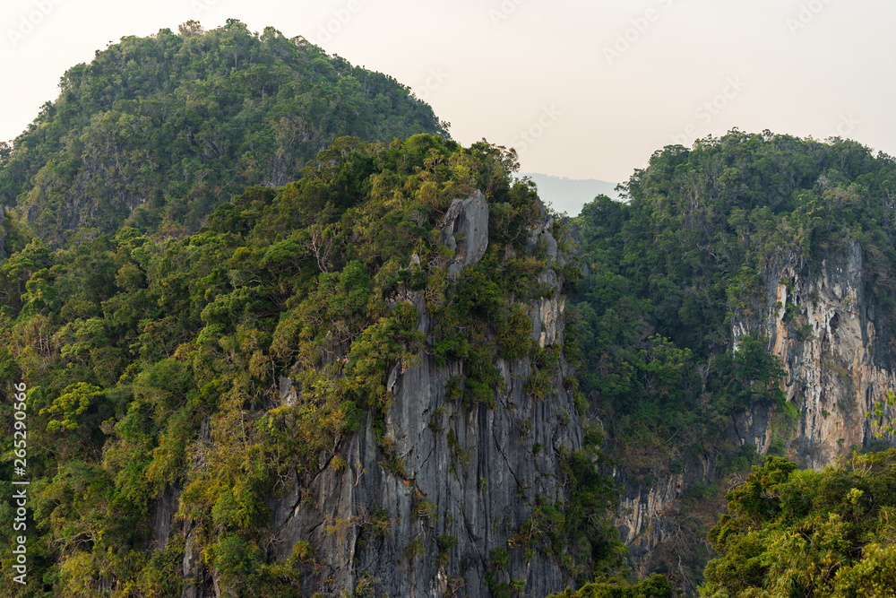 Cliffs and mountains in Thailand is covered by tropical greenery and trees
