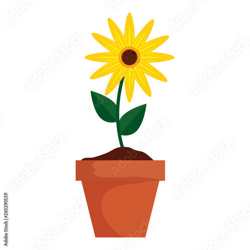 sunflower in pot icon