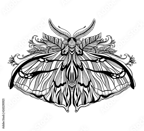 Graphic illustration with mystic moth and occult hand drawn symbols. Astrological and esoteric freemasonry concept. Old vintage style.
