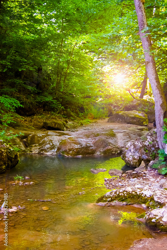 picturesque waterfall in Abkhazia. Carpathian forest waterfall