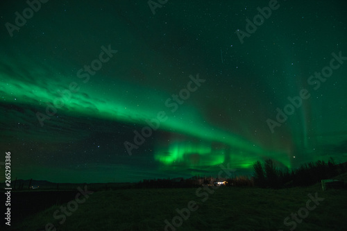 Northern Lights in cold Icelandic nights, near waterfall Seljalandsfoss © Tomas