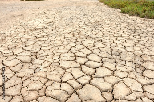 Mud Cracks in Salt Mediterranean Marsh