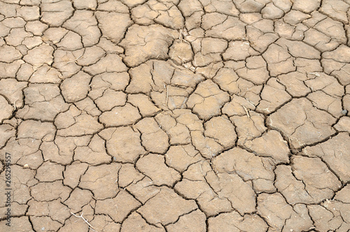 Mud Cracks in Salt Mediterranean Marsh