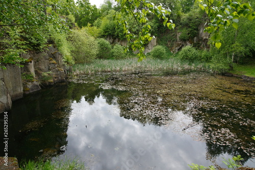 Old pond in the stone quarry