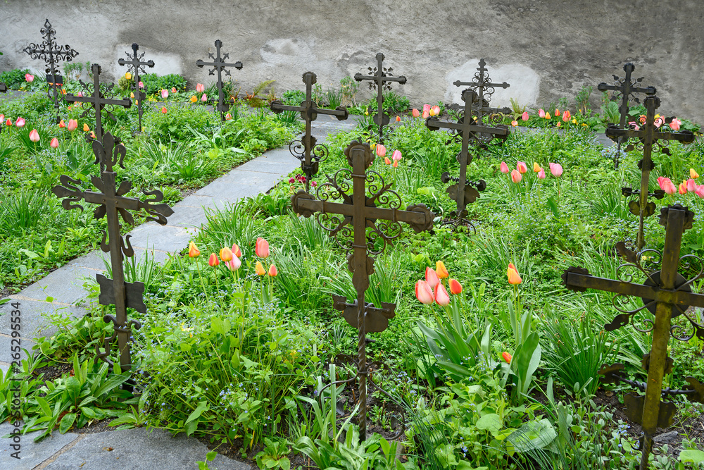Fototapeta premium Schmiedeiserne Kreuze auf dem Kapuzinerfriedhof, Wesemlin, Luzern, Schweiz
