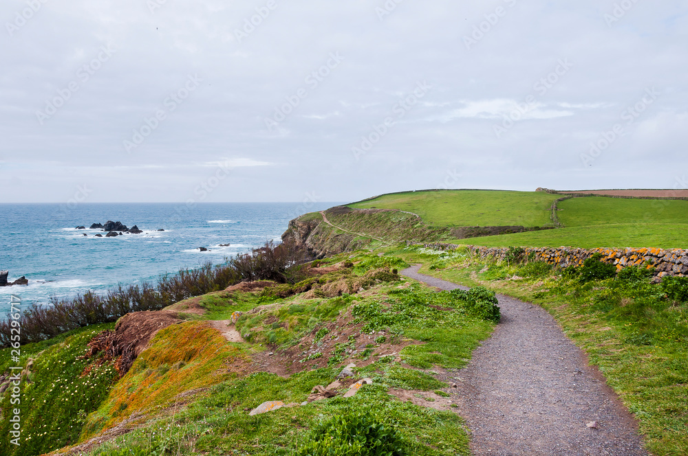Lizard Point, Halbinsel, Küste, Steilküste, Klippen, Küstenwanderweg, Cornwall, Frühling, Südengland