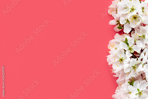 Spring flowers. White cherry flowers on a red background. Spring background, copy space, flat lay.