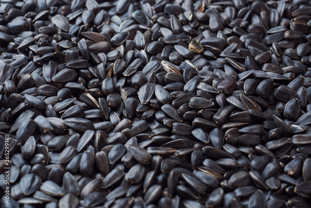 Background of sunflower seeds. Close up. texture Background of sunflower seeds. Close up. texture