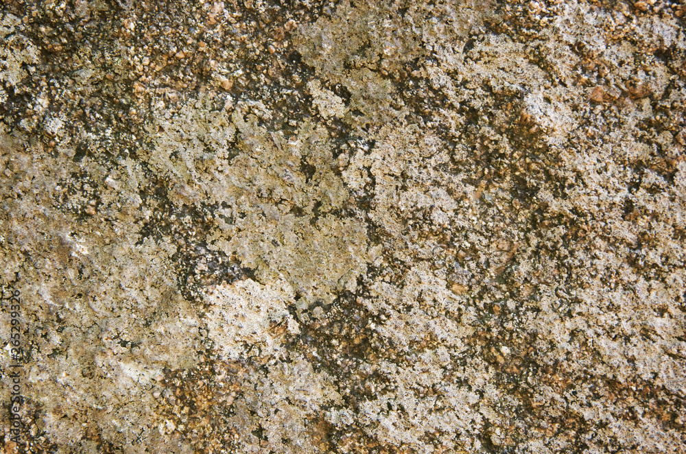 Stone background Stone background