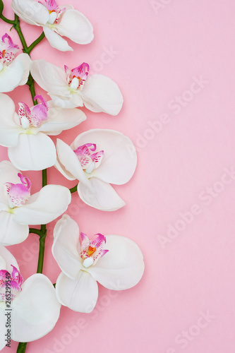 Orchid flower on a pink background, space for a text, flat lay. Top view