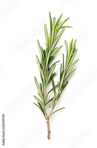 Twig of rosemary on a white background