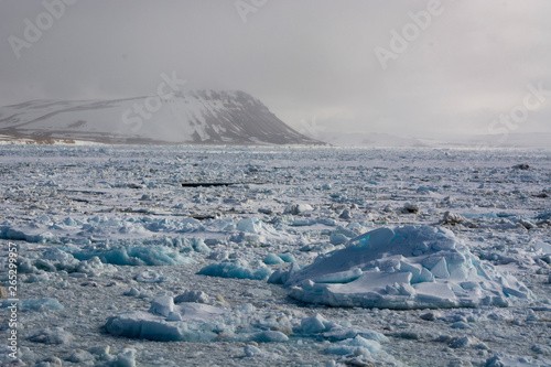 Wahlenberg fjord, Nordaustlandet, Svalbard Islands, Arctic photo