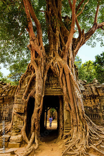 Gopura tower entrance door with lithophyte strangler fig roots, 12th century Ta Som temple, Ta Som, Angkor, Siem Reap, Cambodia photo
