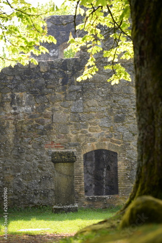 Frühling auf der Ruine. Alte Steinmauer mit Fenster hunterm Kastanienbaum photo