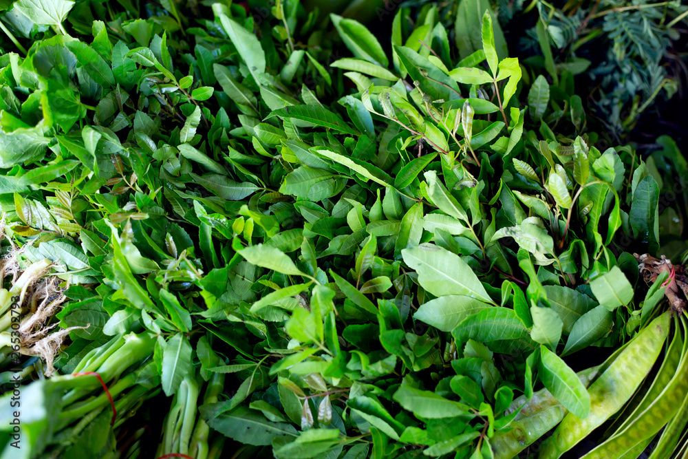 bunches of green spices on the street market bunches of green spices on the street market