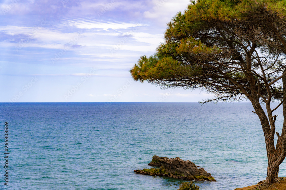 Colorful beach landscape with tree, green leaves, blue sea, mountains and cloudy sky. Colorful beach landscape with tree, green leaves, blue sea, mountains and cloudy sky.