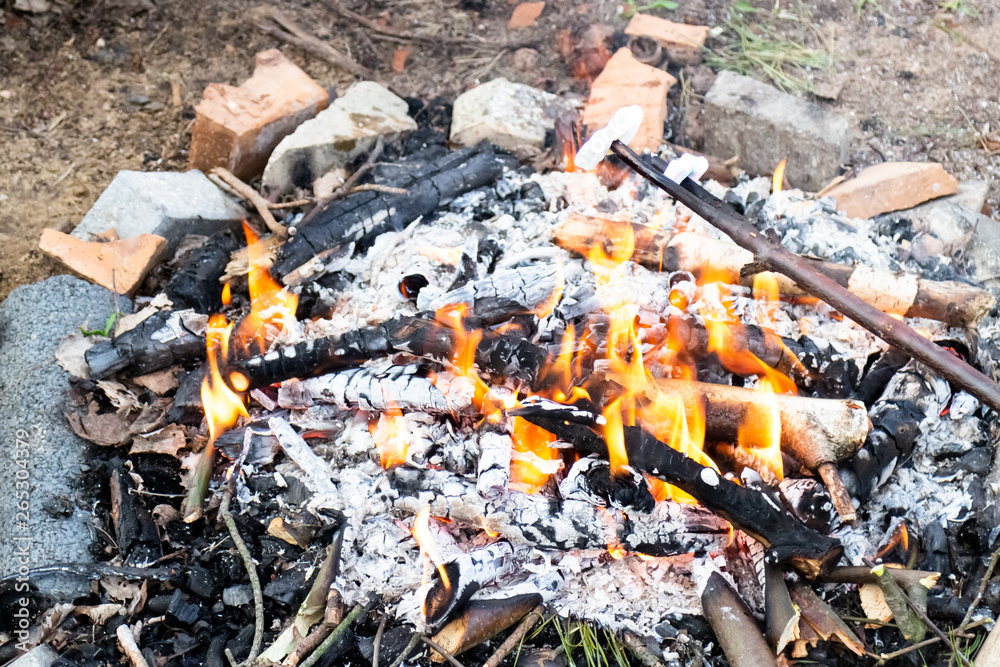 Marshmallows on a stick over bonfire Marshmallows on a stick over bonfire