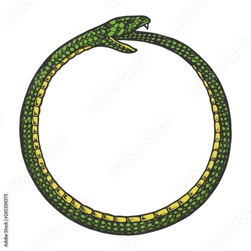 Snake bites itself color sketch engraving vector illustration. Scratch board style imitation. Black and white hand drawn image.