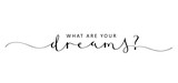 WHAT ARE YOUR DREAMS? brush calligraphy banner
