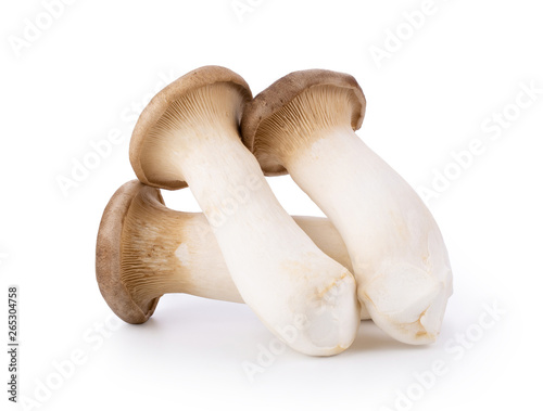 King oyster mushroom Pleurotus eryngii isolated on white background. full depth of field