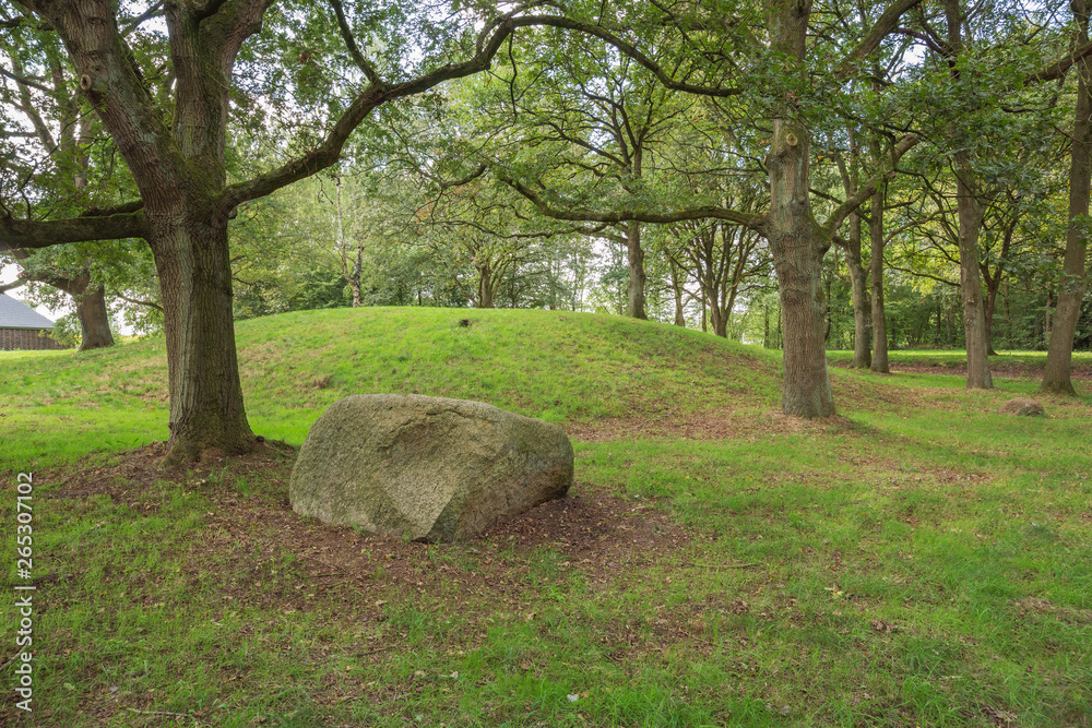 View of the tumulus of Dolmen D13 in the vicinity of Eext