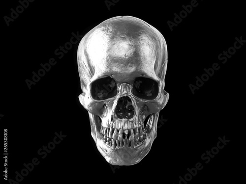 3D rendering silver skull isolated