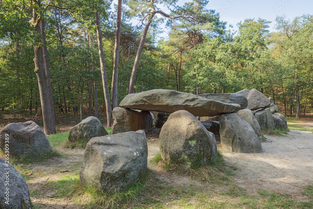 Right hand side view of Dolmen D45 in the vicinity of Emmen