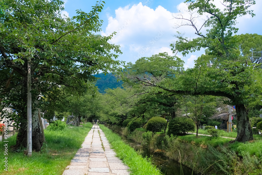 京都市 哲学の道